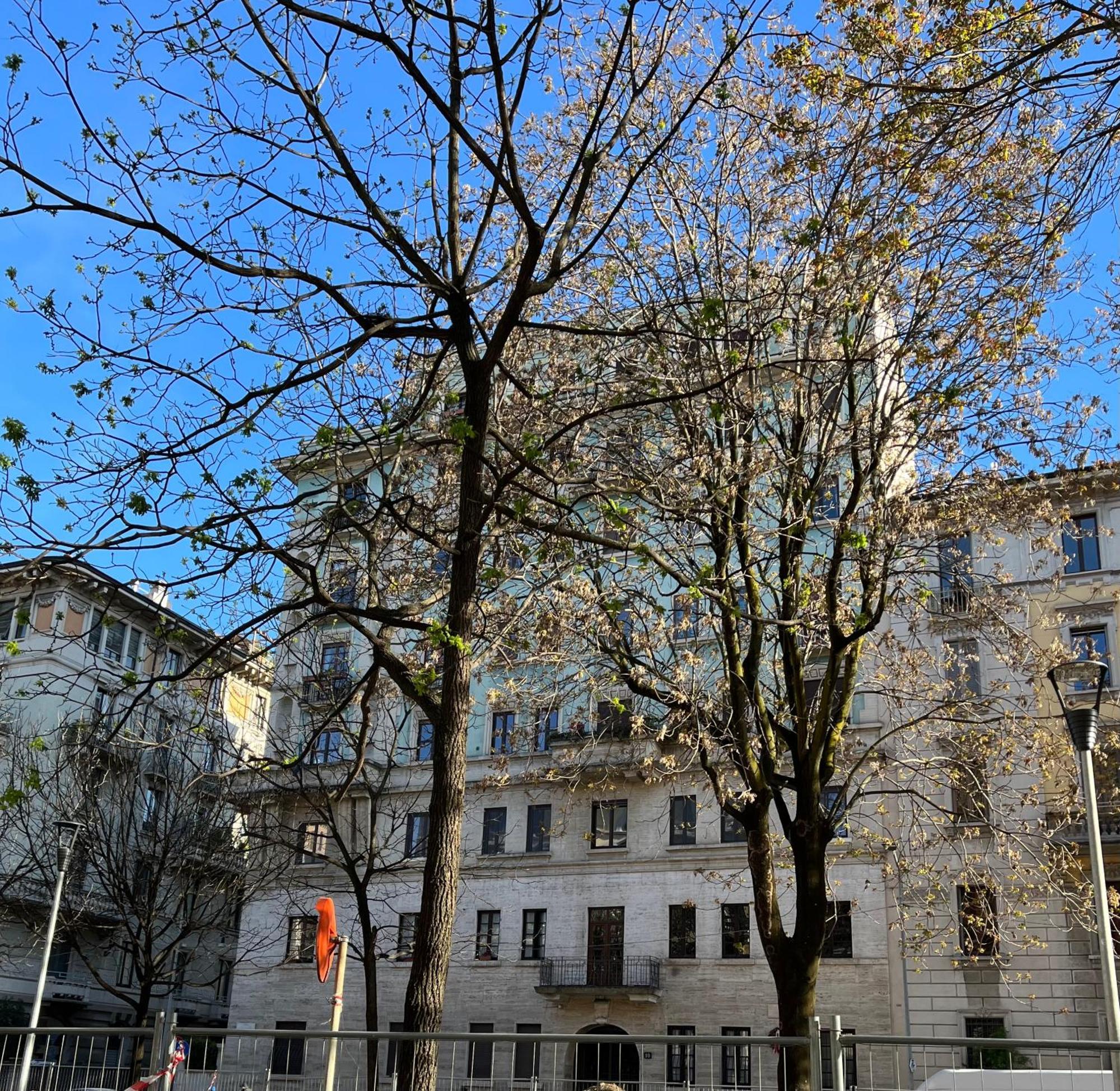 Apartamento La Milão